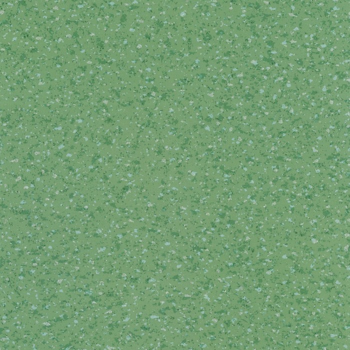 FN6005